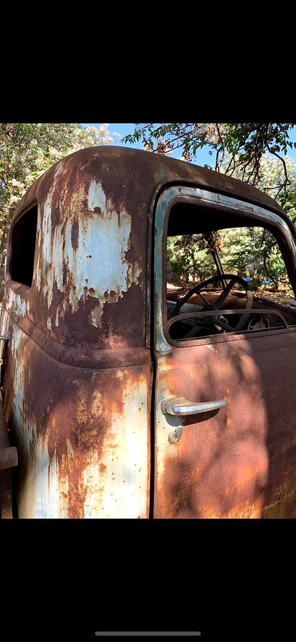 Vintage truck cab with layered rust patina under trees