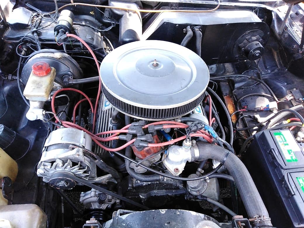 V8 engine bay with round chrome air cleaner